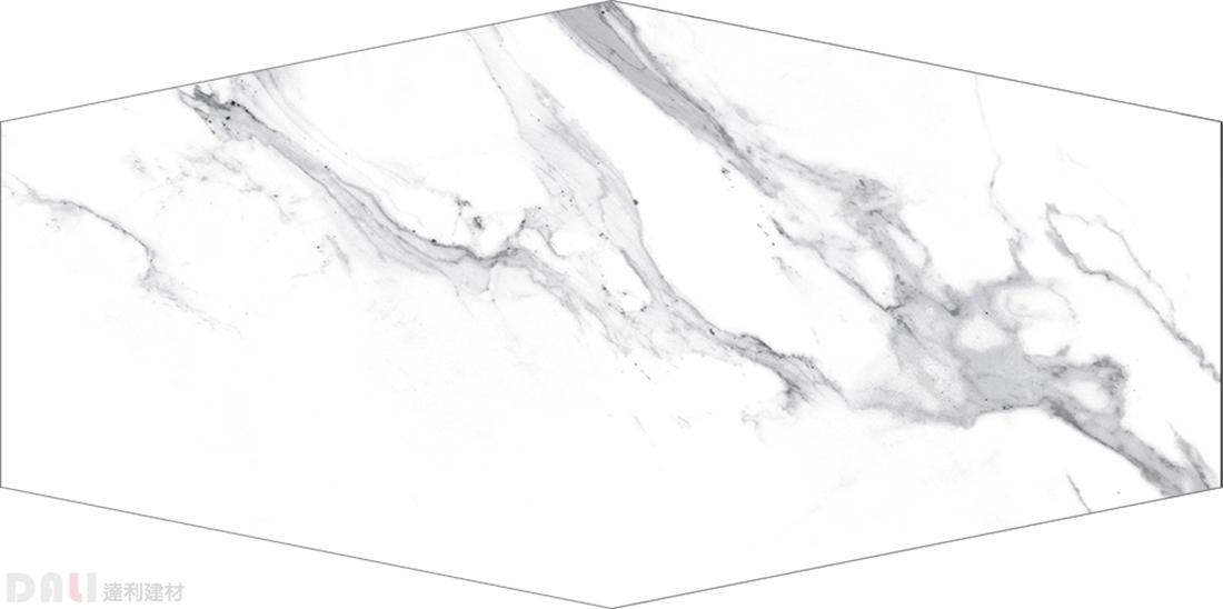 六角｜劍魚 24x49cm 205