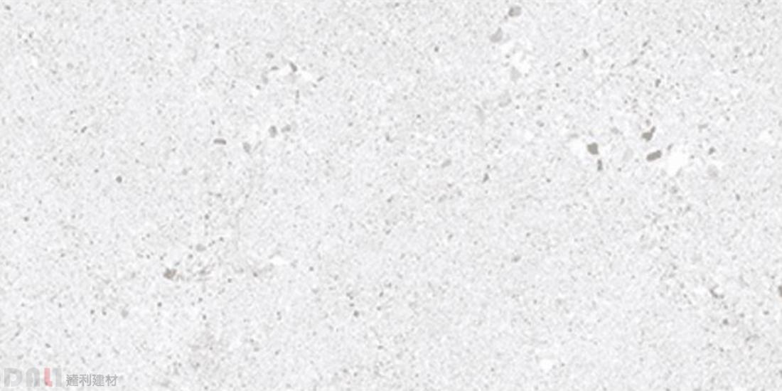 水磨石｜日內瓦 30x60cm 263