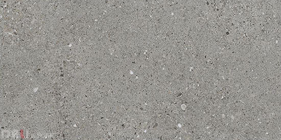 水磨石｜日內瓦 30x60cm 263