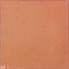 復古磚｜亞拉崗磚 25x25cm 205